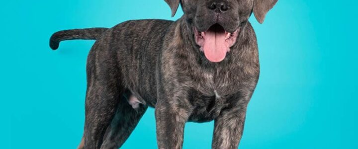 Articolo numero 3 Ilaria