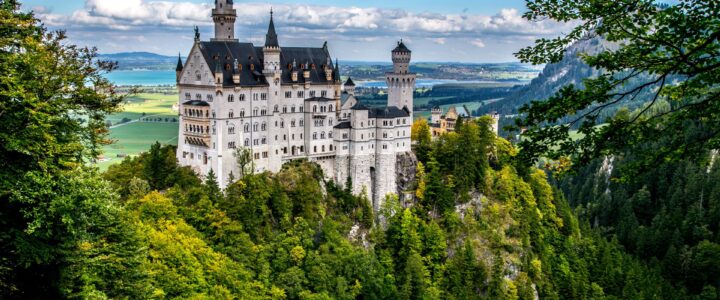 Articolo numero 6 Ilaria