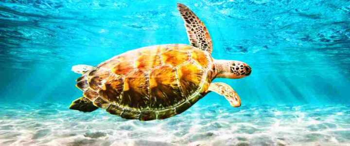 Articolo numero 5 Ilaria